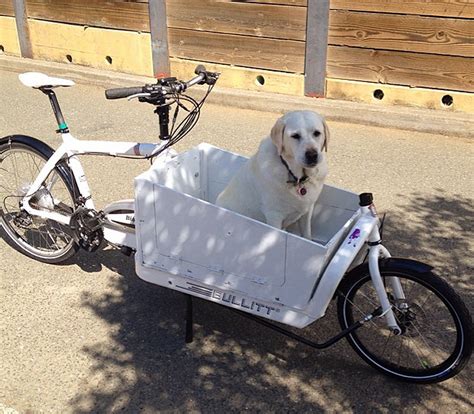 cargo bike for dog